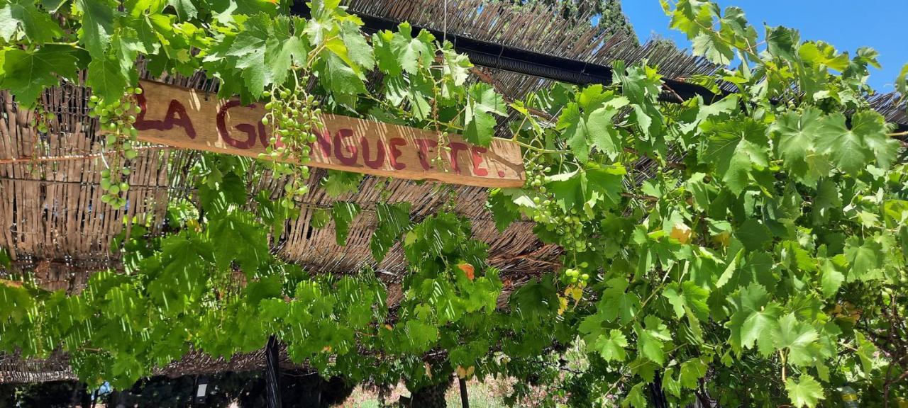 Fenêtre sur les Alpilles Saint-Martin-de-Crau Extérieur photo